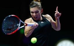 Đánh bại Radwanska, Halep gặp lại Serena trong trận chung kết WTA Finals 2014